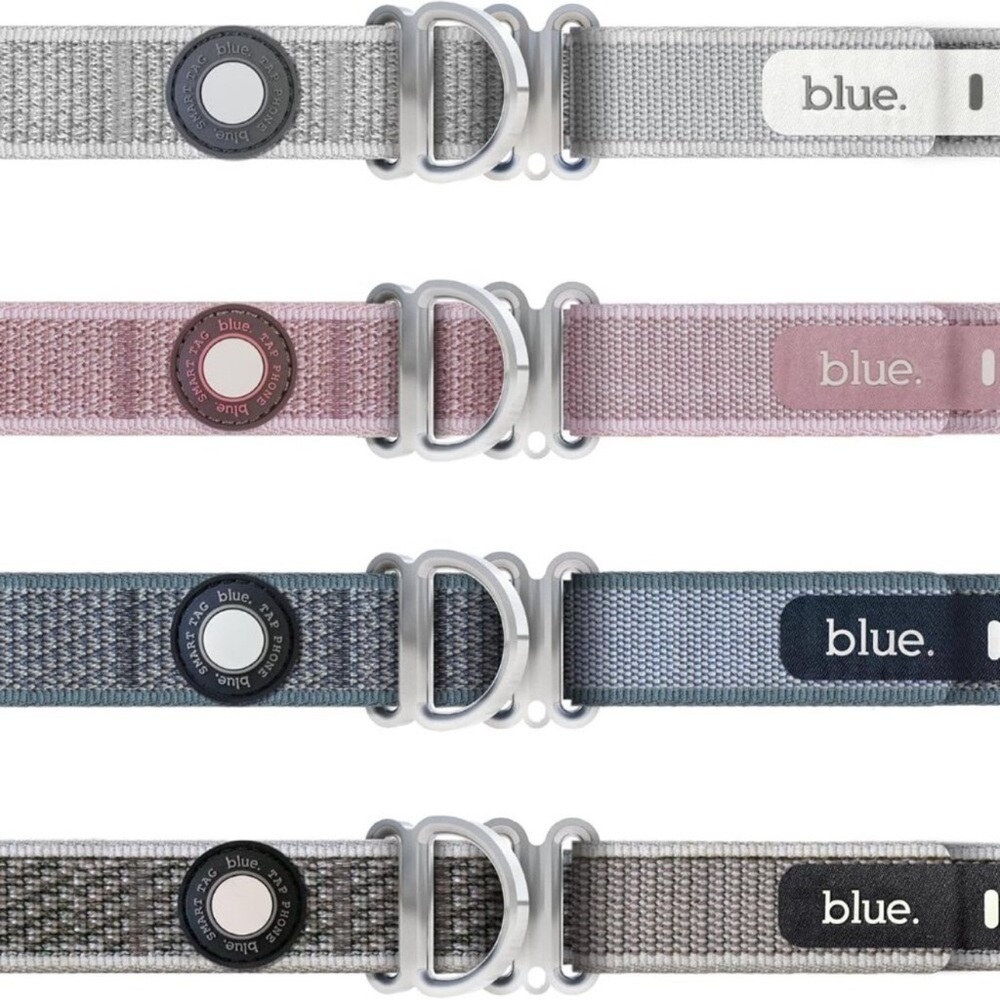 Luxury Smart Collar for Dogs Featuring CloudTag by Blue. Size Medium